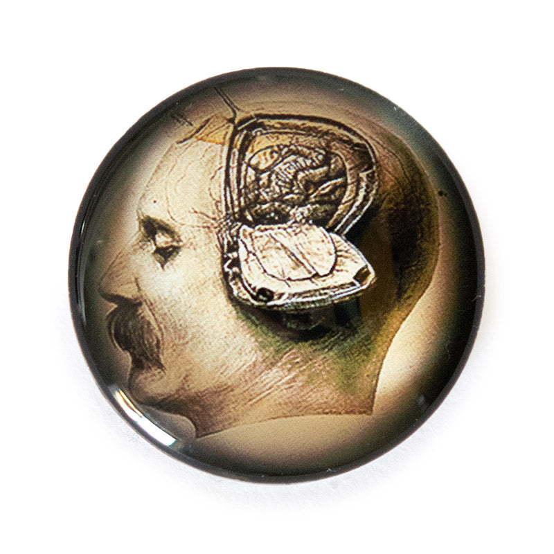 Anatomical Brain Slice Man Illustration Round Glass Cameo Cabochon