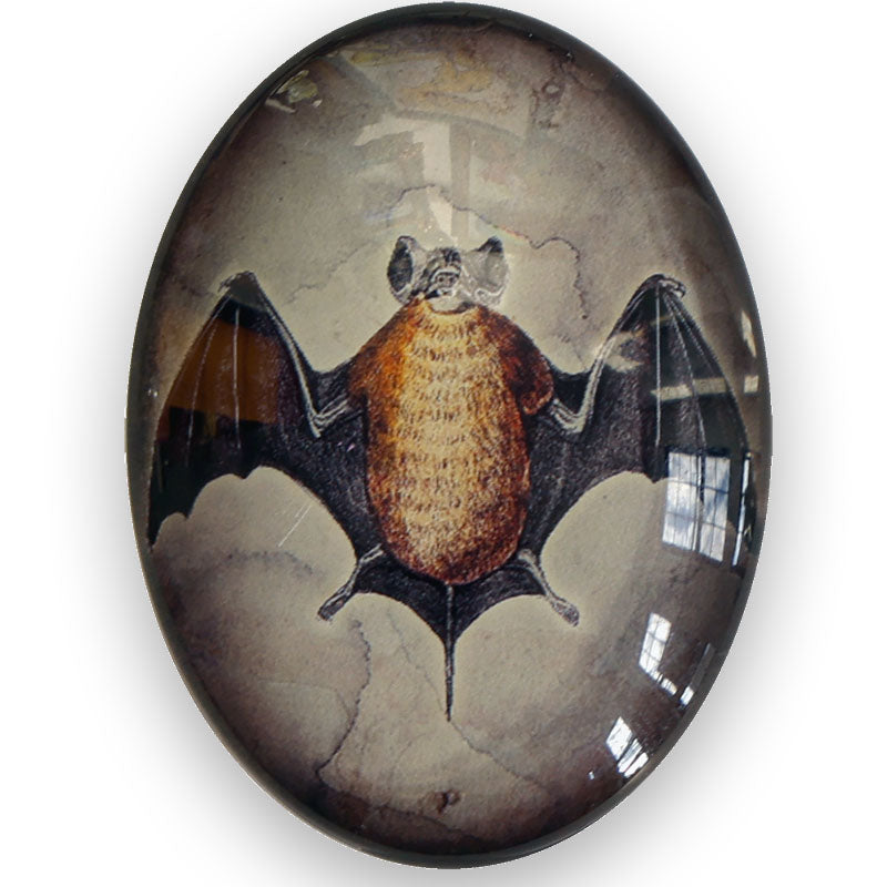 Antique Bat Illustration Glass Cameo Cabochon