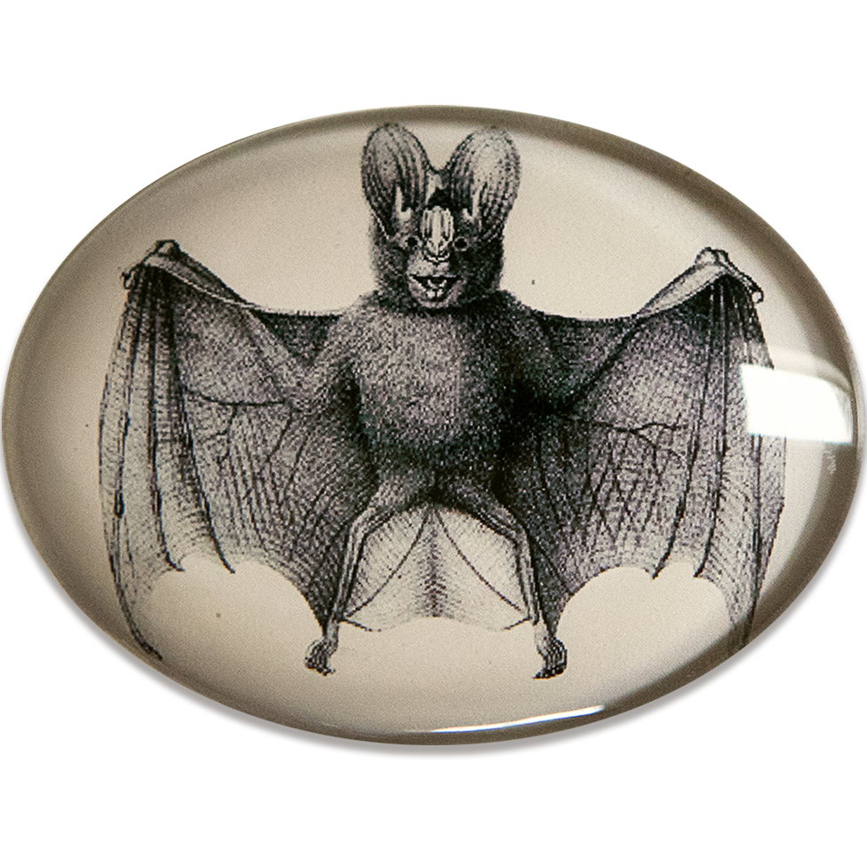 Vintage Bat Illustration Glass Cameo Cabochon