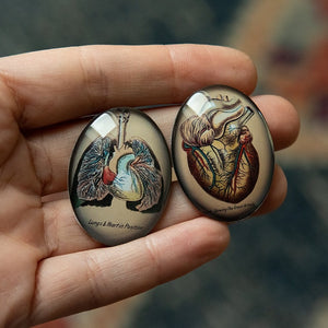 Anatomical Vintage Lungs Glass Cameo Cabochon