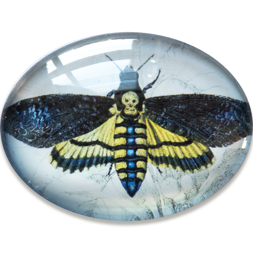 Deaths Head Hawk Moth Horizontal Cameo Cabochon