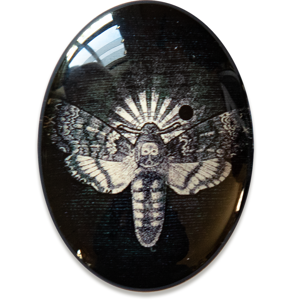 Deaths Head Hawk Moth Celestial Collage Cameo Cabochon