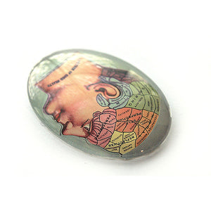 Phrenology Anatomy Glass Cameo Cabochon