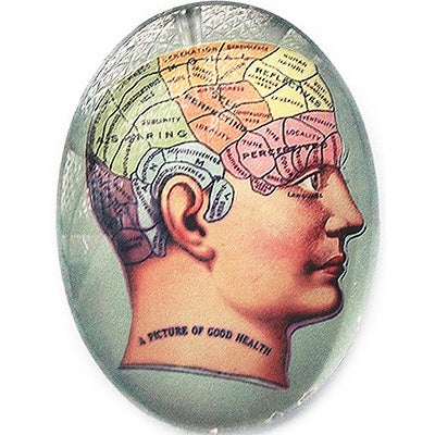 Phrenology Anatomy Glass Cameo Cabochon