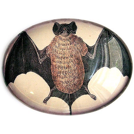 Bat Illustration Horizontal Glass Cameo Cabochon