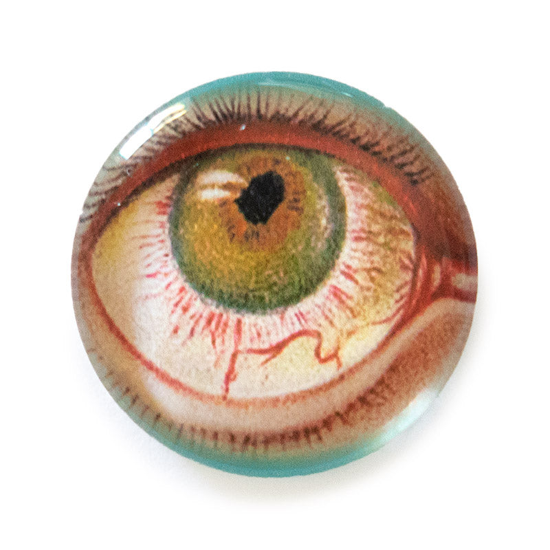 Anatomical Eye Illustration Round Glass Cameo Cabochon dark color