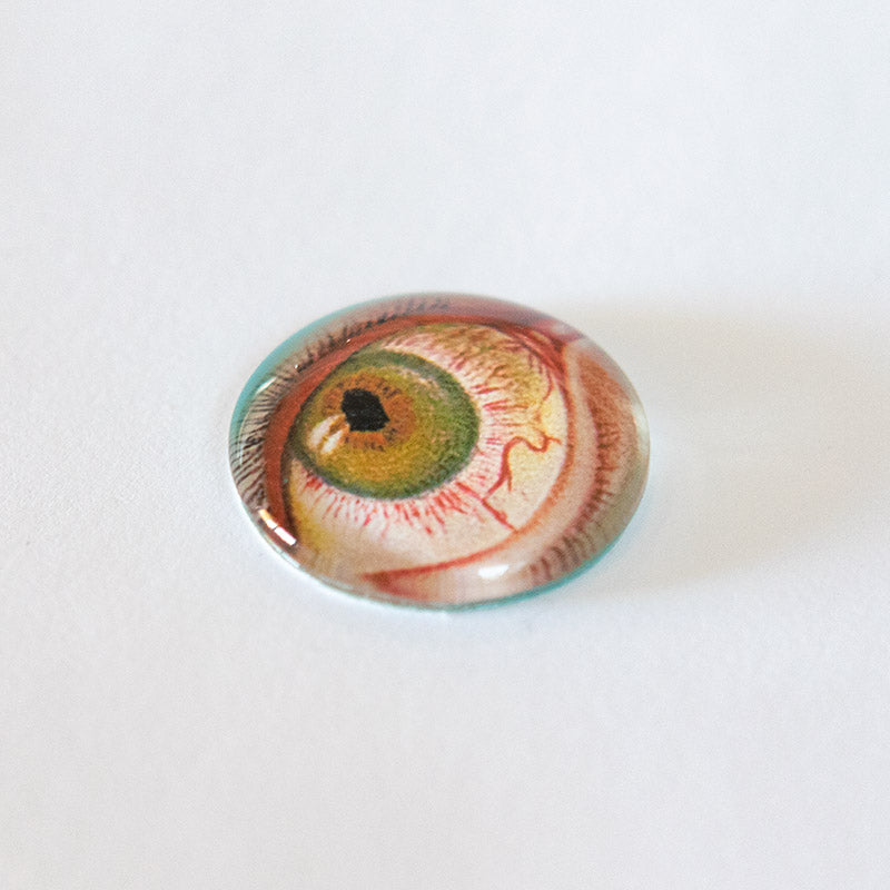 Anatomical Eye Illustration Round Glass Cameo Cabochon dark color