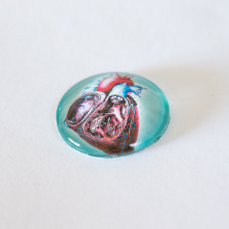 Anatomical Heart Slice Illustration Round Glass Cameo Cabochon