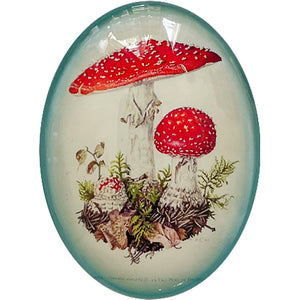 Red Vintage Mushroom Illustration Cameo Cabochon