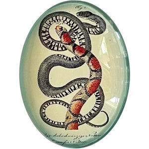 Antique Snake Illustration Cameo Cabochon