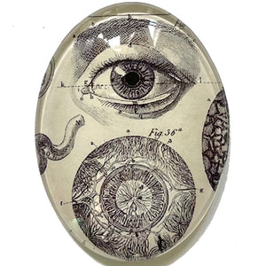 Anatomical Eye Diagram Illustration Glass Cameo Cabochon