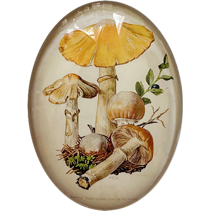 Vintage Yellow Mushroom Illustration Cameo Cabochon