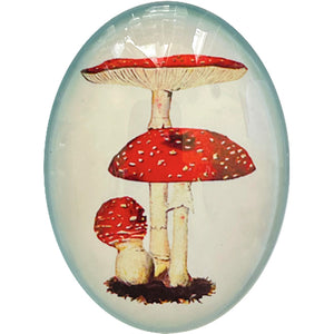 Vintage Red Mushroom Illustration Cameo Cabochon