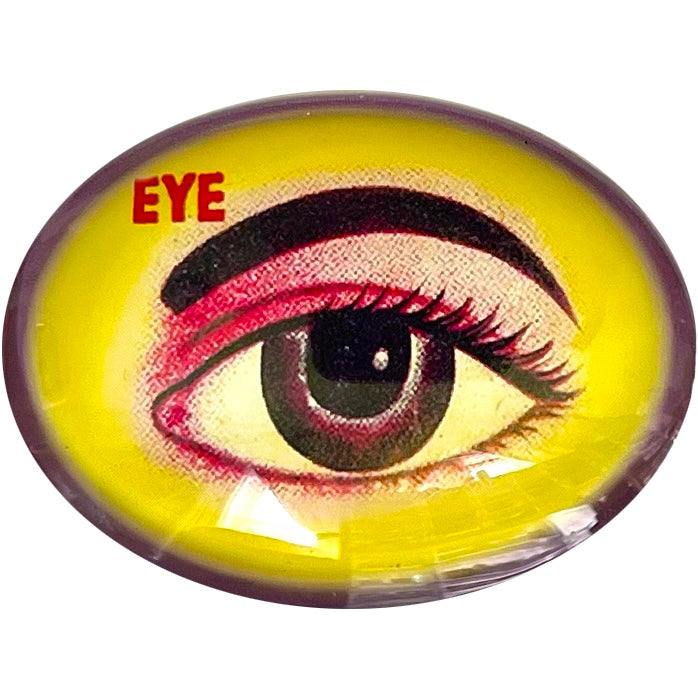 Anatomical Retro Eye Illustration Glass Cameo Cabochon