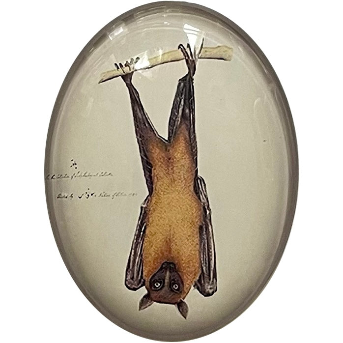 Hanging Bat Illustration Glass Cameo Cabochon
