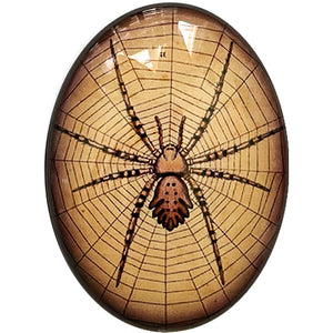 Spider Vintage Art Cameo Cabochon