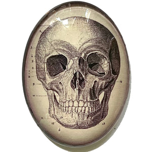 Vintage Anatomical Skull Illustration Glass Cameo Cabochon