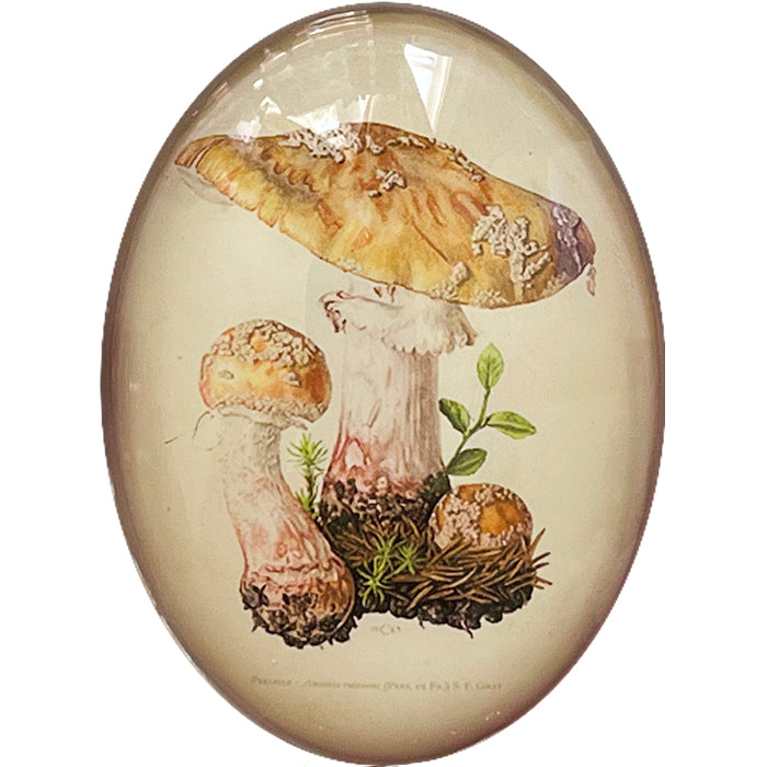 Yellow Vintage Mushroom Illustration Cameo Cabochon