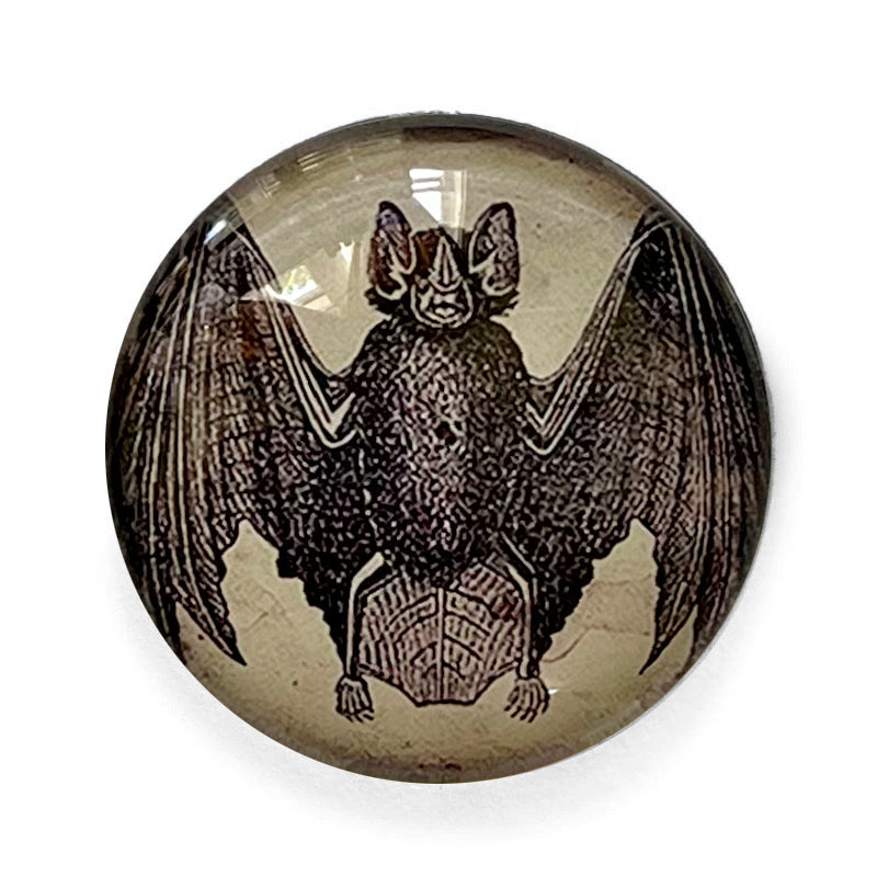 Round Vintage Halloween Bat Glass Cameo Cabochon