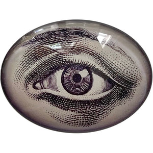 Anatomical Vintage Eye Horizontal Illustration Glass Cameo Cabochon
