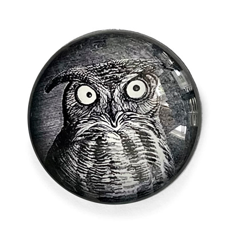 Round Vintage Owl Halloween Glass Cameo Cabochon