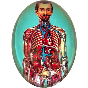 Victorian Anatomical Man Glass Cameo Cabochon