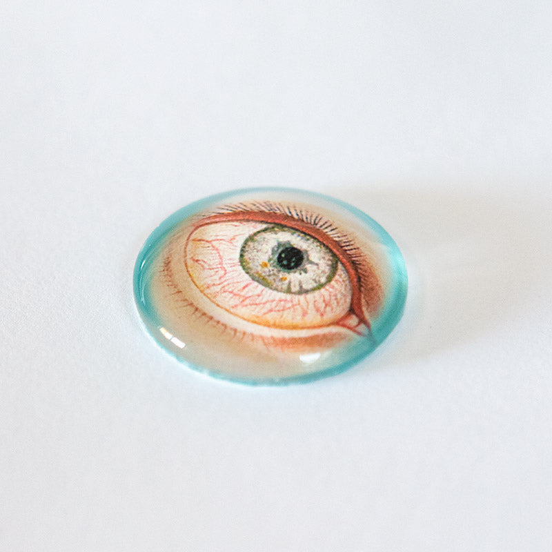 Anatomical Eye Illustration Round Glass Cameo Cabochon Light color