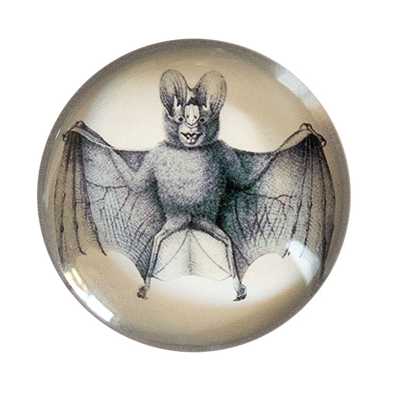 Round Vintage Bat Illustration Glass Cameo Cabochon