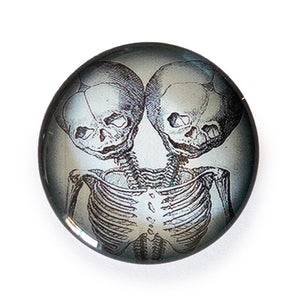 Anatomical Twins Skeleton Illustration Round Glass Cameo Cabochon